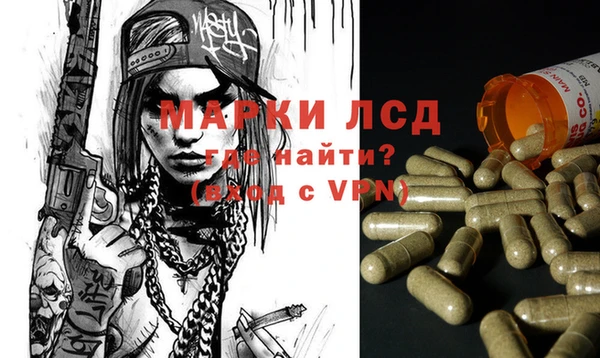 дмт Алзамай