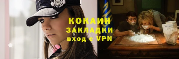 дурь Пересвет
