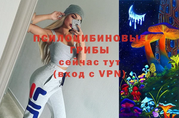 ECSTASY Алексеевка