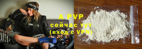 дурь Пересвет