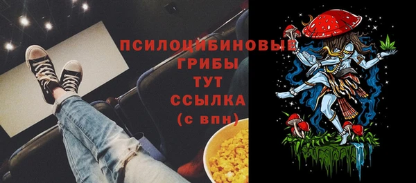 ECSTASY Алексеевка